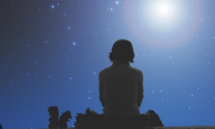 Chapitre 19 :  La Chute d&rsquo;une Idole : Quand Henri devient le prix d&rsquo;une leçon amère