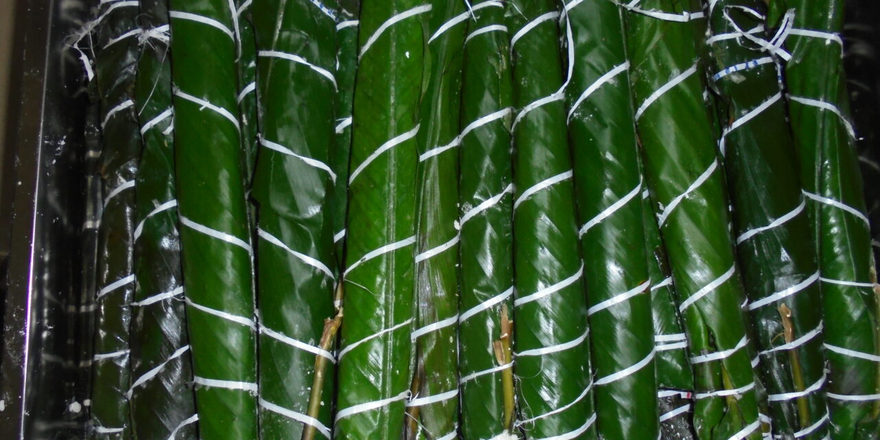 Comment faire soi-même ses bâtons de manioc