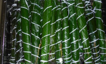 Comment faire soi-même ses bâtons de manioc