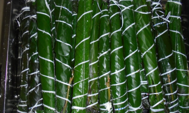 Comment faire soi-même ses bâtons de manioc