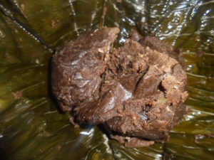 Recette mets d'arachides