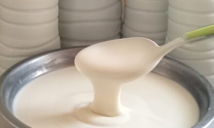 Recette Kossam Fait Maison : comment réussir un yaourt onctueux et naturel