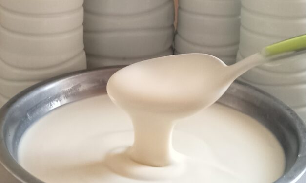 Recette Kossam Fait Maison : comment réussir un yaourt onctueux et naturel